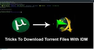 Rtsp is multimedia file format created by a joint team from columbia university, netscape and realnetworks. Tricks To Download Torrent Files With Idm Completely Free Premiuminfo