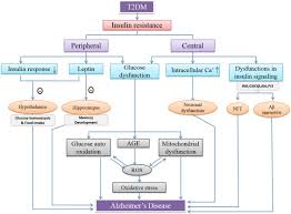 Spend a night in a nomad's tent, visit traditional berber villages and kasbahs, see the atlas mountains and relax on the beautiful beaches at essaouira. Insulin Signaling An Opportunistic Target To Minify The Risk Of Alzheimer S Disease Sciencedirect