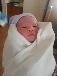 3 baby boys in MN 💙💙💙 DM for more info