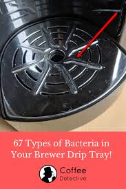 Maybe you would like to learn more about one of these? The 67 Types Of Bacteria Growing In Your Brewer S Drip Tray