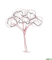 How To Draw A Gum Tree Tree Drawing Tree Art Drawings