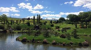 Image result for parque