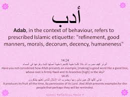 Muslim America The Lotus Tree Blog Cool Words Words The Incredibles