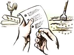 Damit wird die große trockenheit im sommer vermieden und. Aussaat Anleitung Schritt Fur Schritt Saemereien Ch