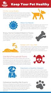 We did not find results for: Healthy Pet Lifestyle Tips Fetch Pet Care