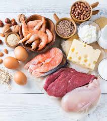 top 48 high protein foods you should include in your diet