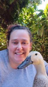 Duck air freshener purchase