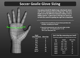 Adidas Goalkeeper Gloves Size Guide