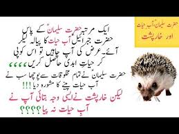 Islam is a mercy from allah islam aik nemat hai allah ki taraf se. Pin On Dilchasp Islami Waqiat Islami Riwayat Waqiat