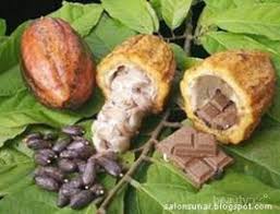 Ada berbagai jenis coklat bubuk hitam yang dapat anda arang bambu merupakan pewarna hitam makanan yang berbentuk bubuk. Bagaimana Mendapatkan Pewarna Alami Untuk Makanan