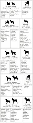 Dog Breed Chart Comparison Dog Breed Size Chart Grooming