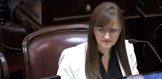 Debate por la propiedad privada: Schneider acusó a Capitanich de "regalar tierras" en el Chaco