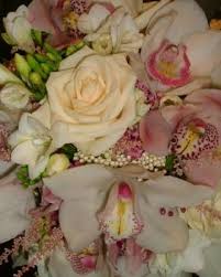 We did not find results for: Florists Flower Shops Near Dalhousie Station Calgary Ab Yellowpages Ca