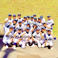 The site owner hides the web page description. æµé‚£é«˜æ ¡è»Ÿå¼é‡Žçƒéƒ¨ Ena Baseball Twitter
