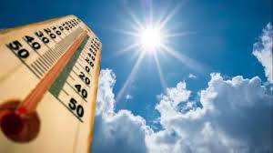 5 people died allegedly due to heat stroke in rajasthan temperature reached  48 8 degrees in barmer | 48.8 ડિગ્રી તાપમાનમાં શેકાયુ રાજસ્થાન, લૂ લાગવાથી  પાંચ લોકોના મોત