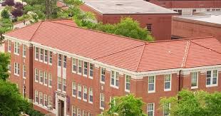 Mayor of Greenville, NC and other college towns plan to challenge 2020  census results