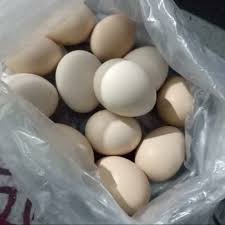 Maybe you would like to learn more about one of these? Telur Ayam Telur Ayam Kampung Telur Ayam Kampung Asli Telor Ayam Lazada Indonesia
