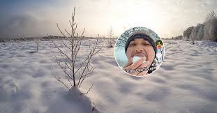 雪球| 生活| etnet 經濟通|香港新聞財經資訊和生活平台