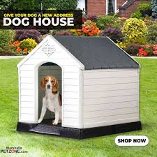 Pawzone Dog House For Bigger Dogs At Lowest Price In 2020 Dog House Big Dogs Your Dog