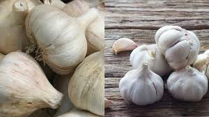 Pin Oleh Jus Bawang Putih Fit Juice Di Blog Bawang Putih Makanan Wajah
