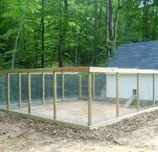 We did not find results for: 210 Chickens Ideas Chickens Chickens And Roosters Rooster Art