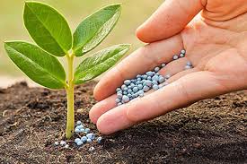 Top 3 Công Ty Phân Bón Uy Tín Tại Việt Nam