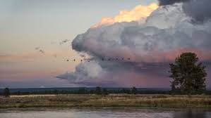 Todd Lanning, Author at TroutHunter