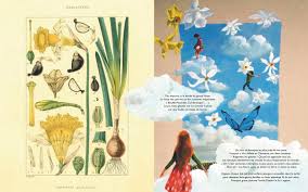 #7 of 90 hotels in essaouira. This Is How We Live In The World Hannele And Associates