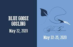 Pirated software hurts software developers. 2019 Greater Houston Sports Club Briley Blue Goose Greater Houston Sports Club