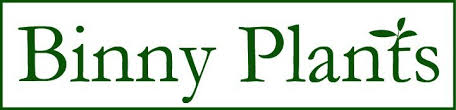 Shop gift card by billini online now. Gift Card Malus Binny Plants
