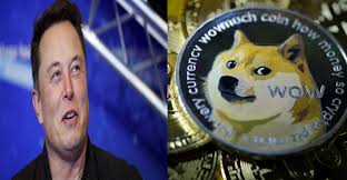 Elon musk won the poll and this made him even write more funny jokes about. Elon Musk To Extends Support To Meme Based Cryptocurrency Dogecoin