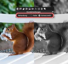 Destruktive methoden können später nicht mehr angepasst werden. Fur Photoshop Und Lightroom Einfache Schwarzweiss Techniken Photoscala