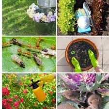 A soil amendment or soil conditioner is a product which is added to soil to improve its physical soil amendments may be used to improve water retention in dry, coarse soils which are not holding. 10 Genuis Borax Uses In The Garden That Will Surprise You Diy Crafts