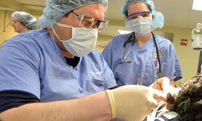 Lerner Spay Neuter Clinic