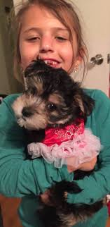 Miss Pepper got photo bombed by a little marmot:)