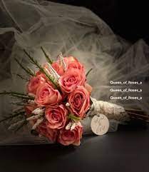 مسكة عروس rose flowers plants