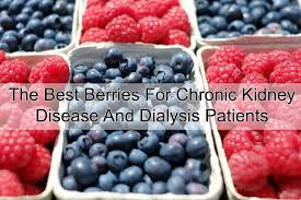 best berries for chronic kidney disease