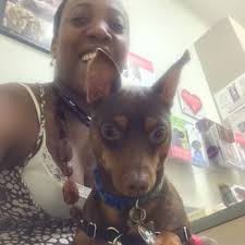 Ysleta veterinary clinic (5.30miles) el paso, tx: St Francis Of Assisi Veterinary Medical Center 37 Photos 101 Reviews Veterinarians 8615 Potranco Rd San Antonio Tx Phone Number