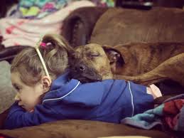 Maybe you would like to learn more about one of these? Kc Pet Project Our Marnee Mae Is One Of The 284 Dogs Facebook