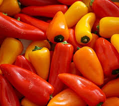 Und peperoni im august fleißig gegossen hat, durfte sich an unbändigem wachstum und auch an reichem fruchtansatz erfreuen. Mini Susspaprika Mix Paprika 10 Samen Amazon De Garten