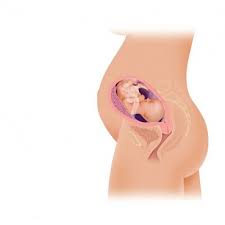 Cadouri simbolice de craciun cana blender philips cadouri femei 40 ani cana apa philips avent bucle lejere prinse camera de fete cafetera philips saeco poemia precio caine saint bernard pret. Saptamana 27 De Sarcina Regina Maria