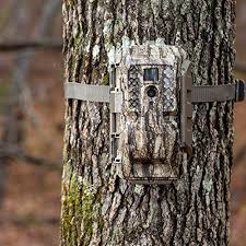 Check spelling or type a new query. Trail Cameras That Send Pictures To Your Phone Buying Guide 2021 Trail Camera Game Cameras Trail Cameras