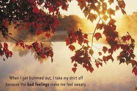 If Andy Dwyer Quotes Were Motivational Posters Fall Wallpaper Nature Photography Autumn Leaves
