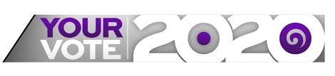 Election 2020 National Party S Complete Bloodbath But Judith Collins Staying On Stuff Co Nz