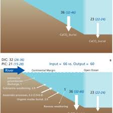 Going river cruising and ocean cruising are similar in that you're on a boat, which is on a body of yet we're often asked to compare river cruise vs ocean cruise experiences, as river cruise fleets grow. Alkalinity Balance Of The Ocean Fluxes Are In Tmol Y 1 A Download Scientific Diagram
