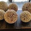 Maybe you would like to learn more about one of these? 3