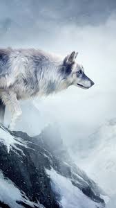 Download and use 30,000+ wolf wallpaper stock photos for free. Wallpaper Wolf 4k Hd Wallpaper Mountain Girl Animals Winter Drawing Snow Fantasy Art Os 937
