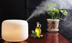Can I Use Essential Oils In Humidifier Read This Before Using In 2020 Essential Oils In Humidifier Essential Oils Oils