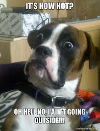 Is it hot in here or is it just you? 42 Hot Weather Memes That Ll Help You Cool Down Sayingimages Com