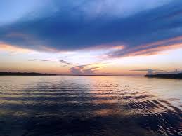 Formar os líderes do amanhã, de acordo com o valores do exército brasileiro. Amazon Boat Cruise A 1 000 Mile Trip From Tabatinga To Manaus In Brazil Wanderwisdom Travel